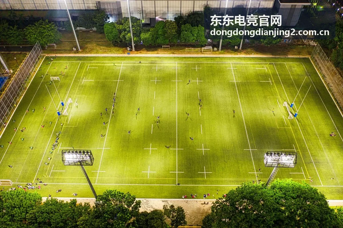 东东电竞数据分析